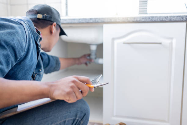 Best Clogged Drain Plumber  in Sardinia, OH