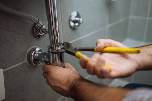 Best Local Plumber Services  in Sardinia, OH